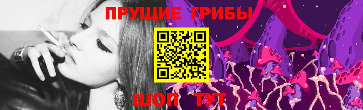 Галлюциногенные грибы Psilocybine cubensis  Вход с VPN  Бугуруслан  Галлюциногенные грибы GOLDEN TEACHER 